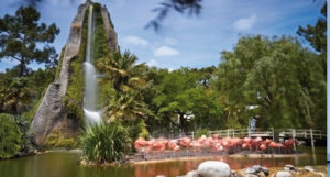 Zoo de la Palmyre